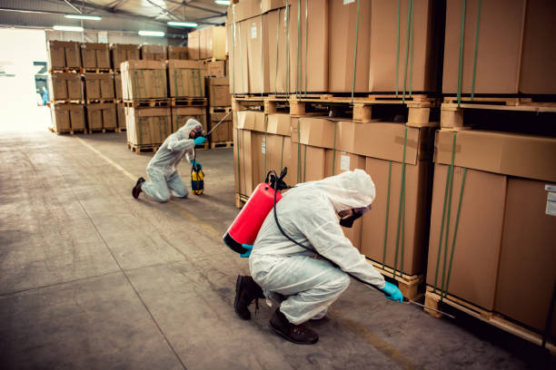 Best Mosquito Control Services  in Mpbell, CA
