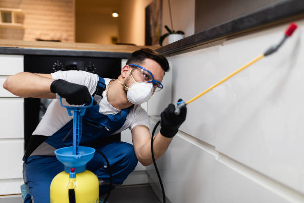 Best Pest Inspection Near Me  in Mpbell, CA