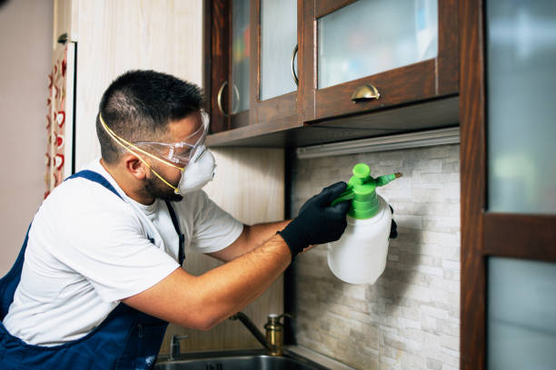 Best Residential Pest Control  in Mpbell, CA