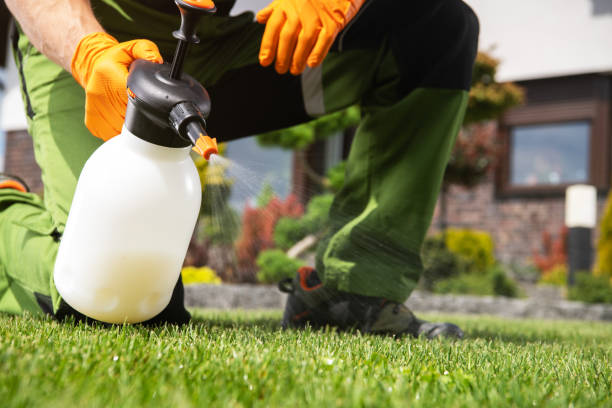 Best Wildlife Control Services  in Mpbell, CA