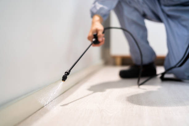 Professional Pest Control in Campbell, CA