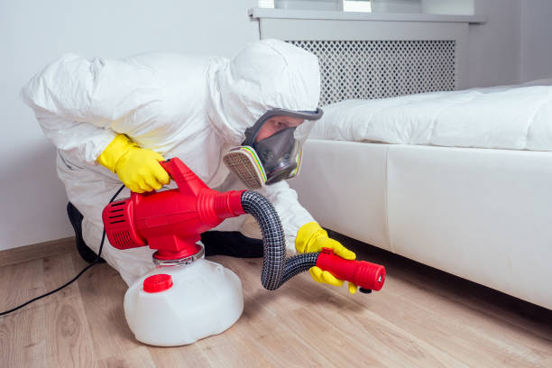 Best Emergency Pest Control  in Mpbell, CA