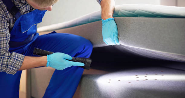 Best Bed Bug Extermination  in Mpbell, CA